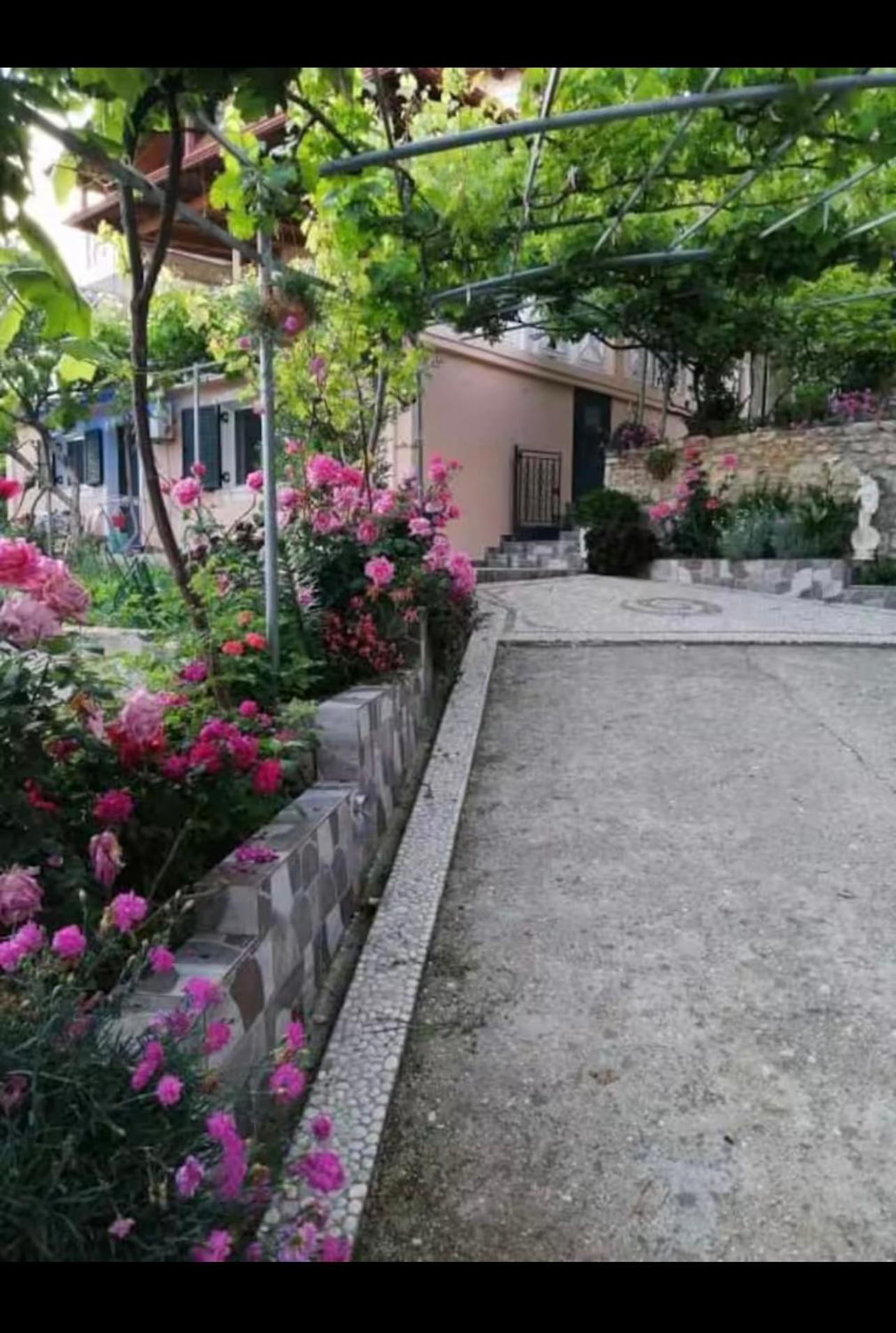 Appartement Nefeli Piqeras